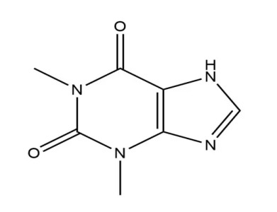Theophylline Sustained Release Capsules (II)