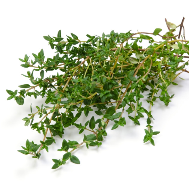 Thyme Oil