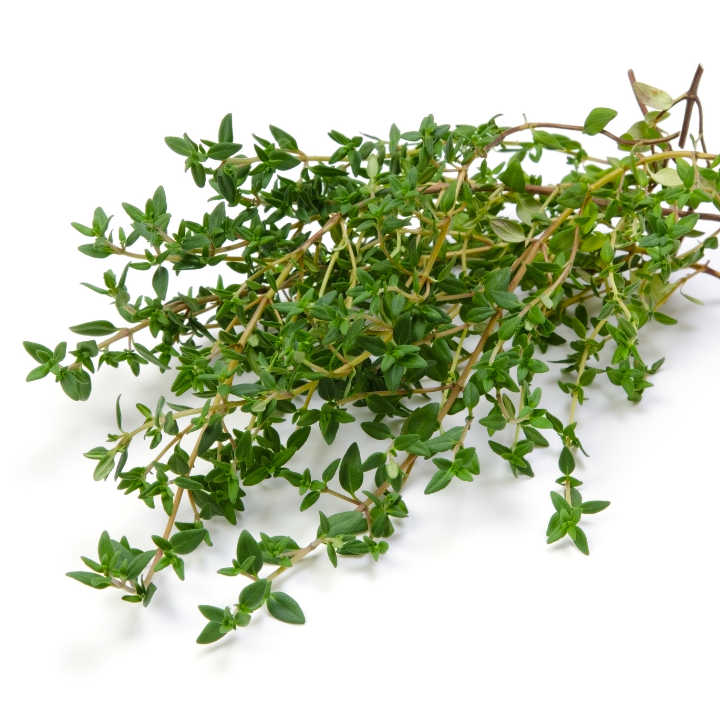 Thyme Oil