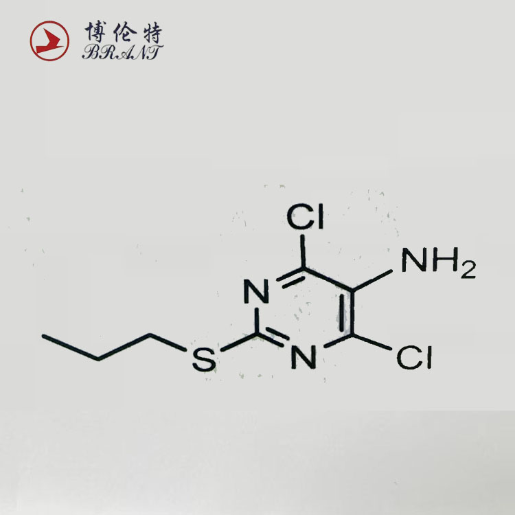 Ticagrelor Intermediate 2