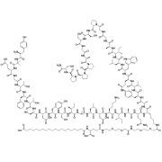 Tirzepatide