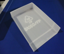 Trays in corrugated PP