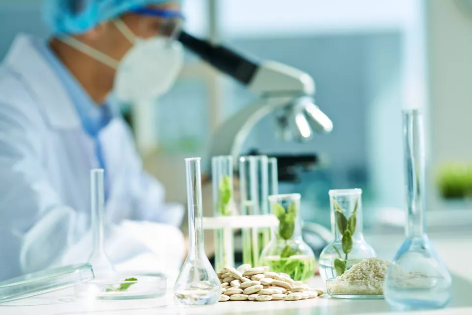 Trypsin/Chymotrypsin mixture