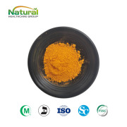 Turmeric Extract