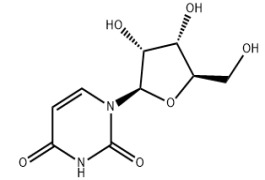 Uridine