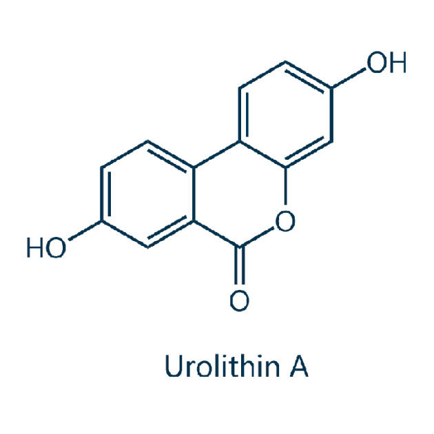 Urolithin A