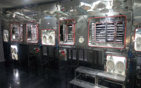 Vacuum tray Dryer isolator