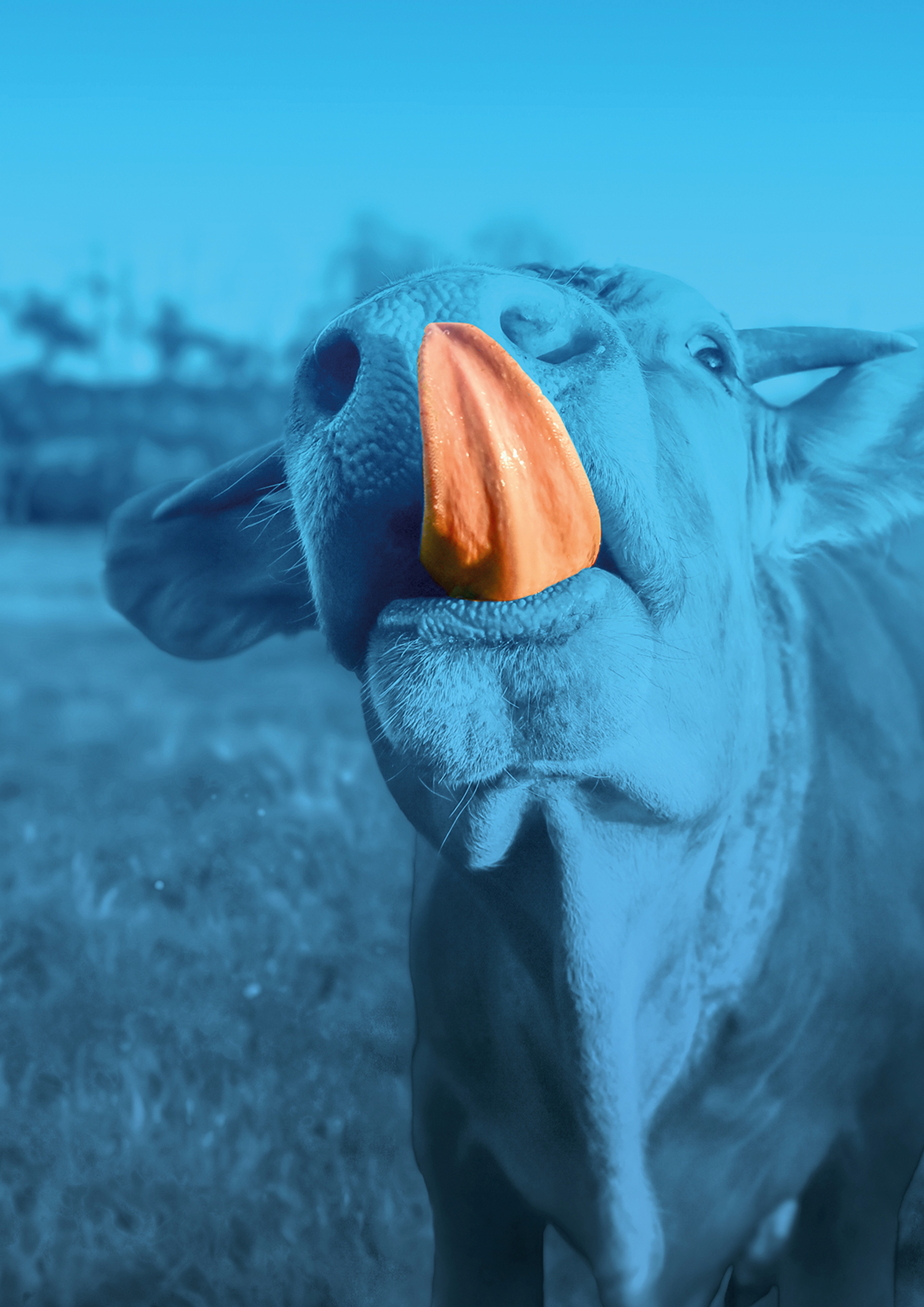 Veterinary products
