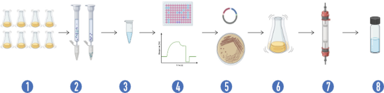 VHH antibody, nanobody, functionalization services