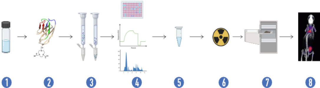 VHH antibody, nanobody, production services