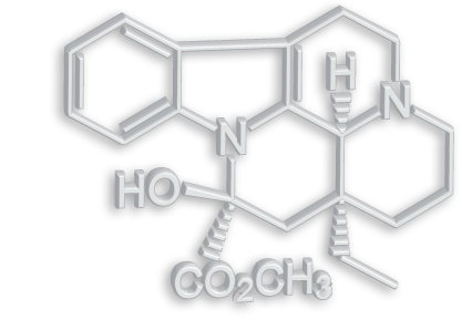 Vincamine 2