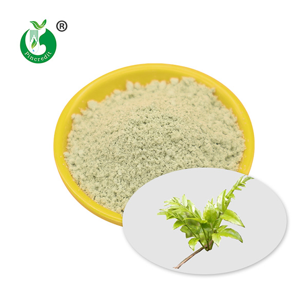 Vine Tea Extract Dihydromyricetin