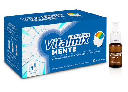 Vitalmix Mente