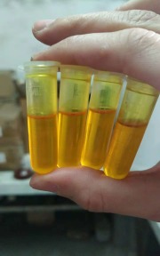 vitamin k1