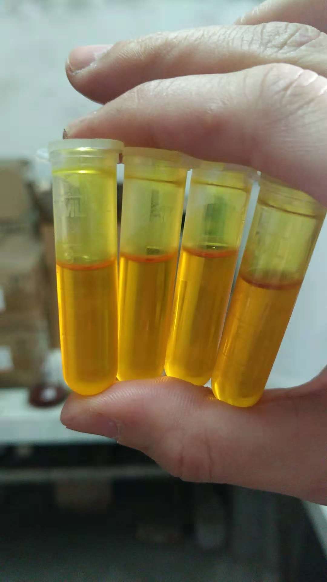 Vitamin K1 (Phylloquinone)