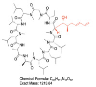 Voclosporin
