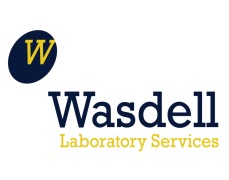 Wasdell Laboratory Services