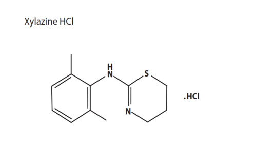 Xylazine HCl USP/EP