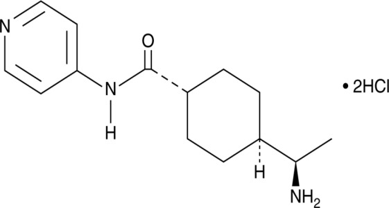 Y-27632 (hydrochloride) Ancillary Material