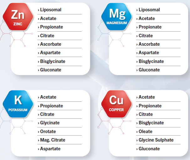 ZINC Acetate,ZINC Citrate,ZINC  Bisglycinate,ZINC Gluconate,MAGNESIUM Acetate,MAGNESIUM Citrate,MAGNESIUM Glycinate,POTASSIUM Acetate,POTASSIUM Propionate,POTASSIUM Glycinate,POTASSIUM Orotate,COPPER  Acetate,COPPER Citrate, COPPER  Glycinate 1
