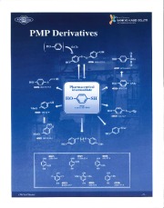 PMP Derivatives