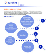 Analytical Services 2021