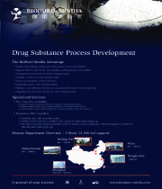 Drug Substance - Process Development