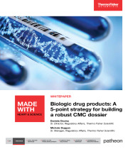 Biologic drug products: A 5-point strategy for building a robust CMC dossier