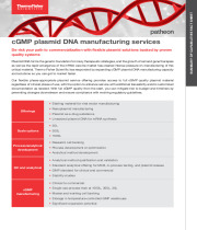 cGMP plasmid DNA manufacturing services