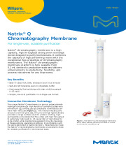 Natrix® Q Chromatography Membrane for single-use, scalable purification