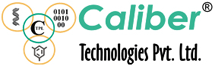 Caliber Infosolutions  INC