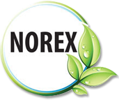 Norex Flavours Private Limited