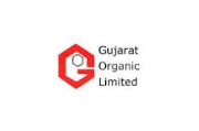 Gujarat Organics Ltd.