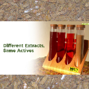 B Natural - From Propolis to M.E.D. Propolis