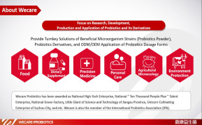 Company Profile