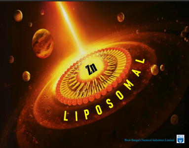Liposomal Zinc